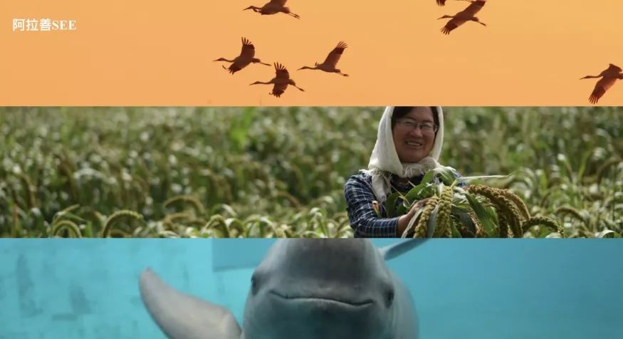 菲律宾欧博(ABG)官方网站