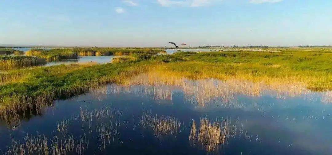 菲律宾欧博(ABG)官方网站
